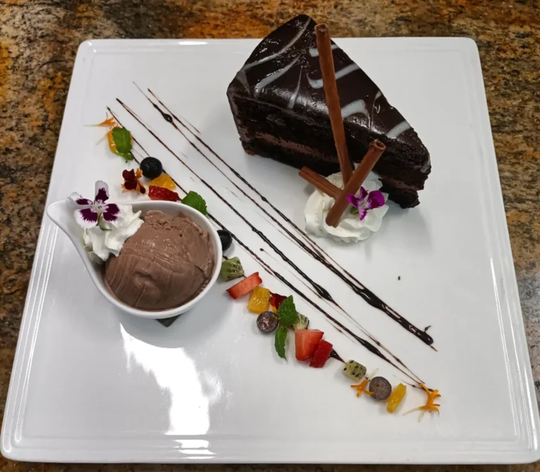 chocolate cake slice with chocolate ice cream and fruit garnish
